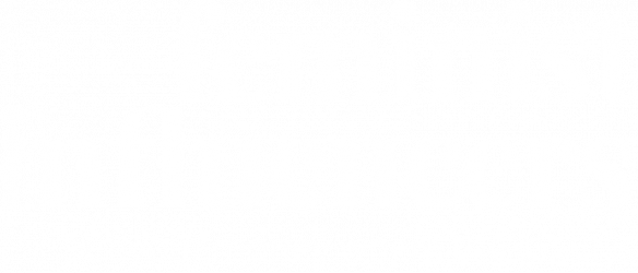 feminist influencers